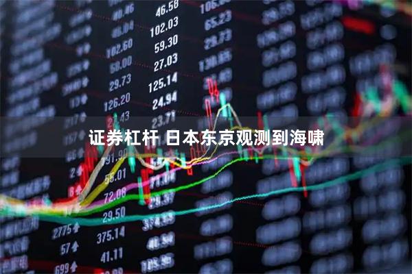 证券杠杆 日本东京观测到海啸